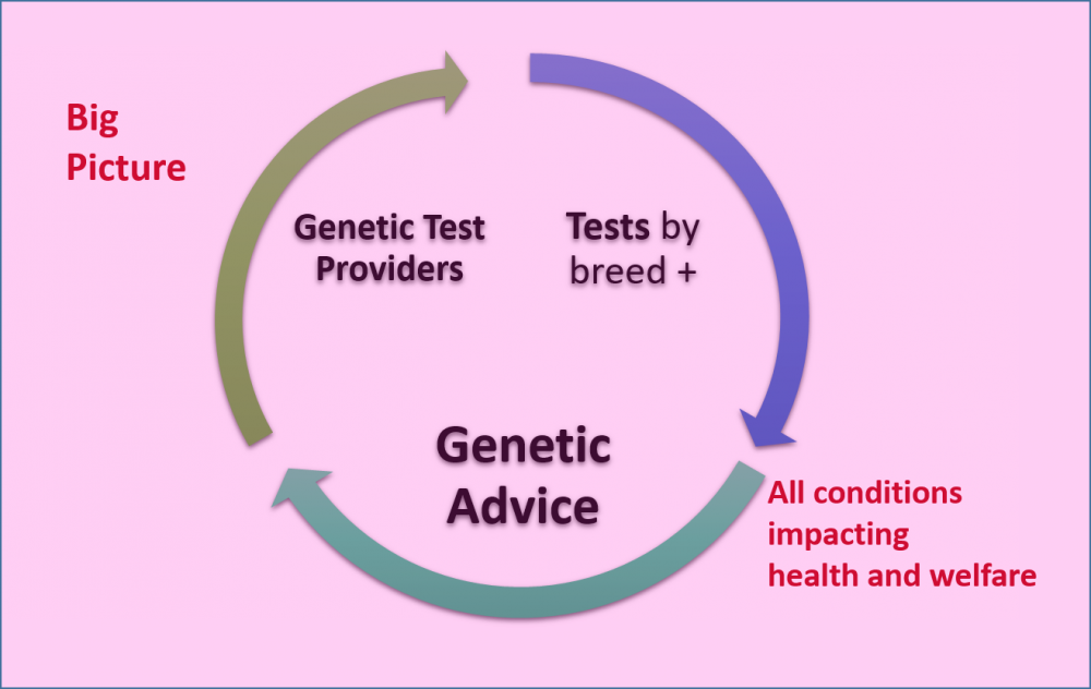 genetic testing graphic3.png
