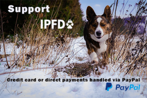 support-ipfd-2021.png