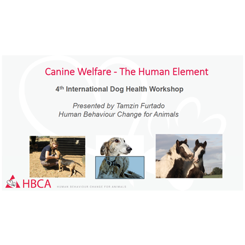 Canine-welfare---The-Human-Element---HBCA.png