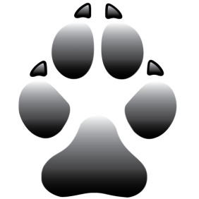 Current thinking about brachycephalic syndrome: more than just airways