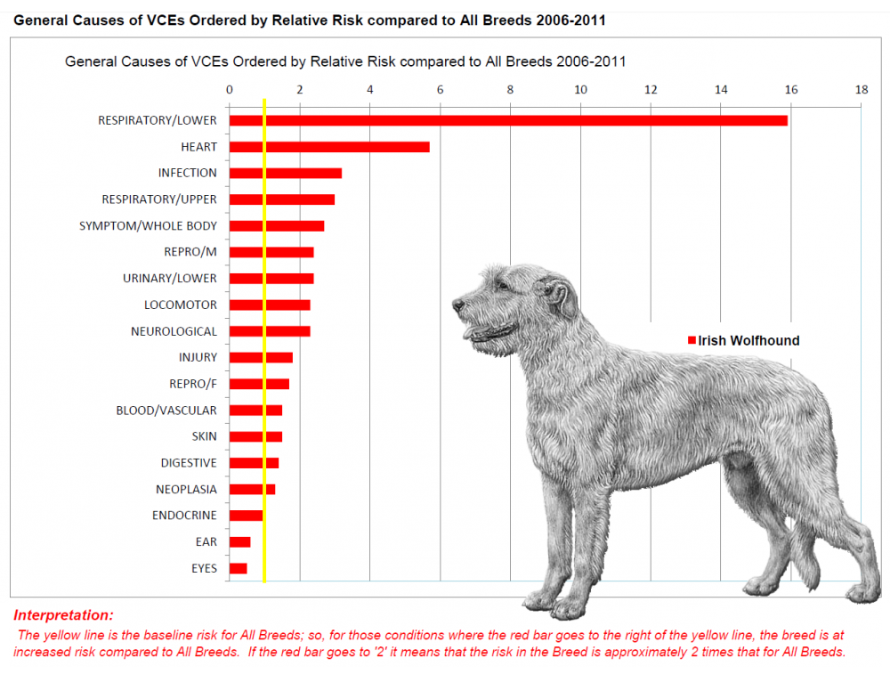general-causes-vce-ordered-by-relative-risks-all-breeds-with-iw.png