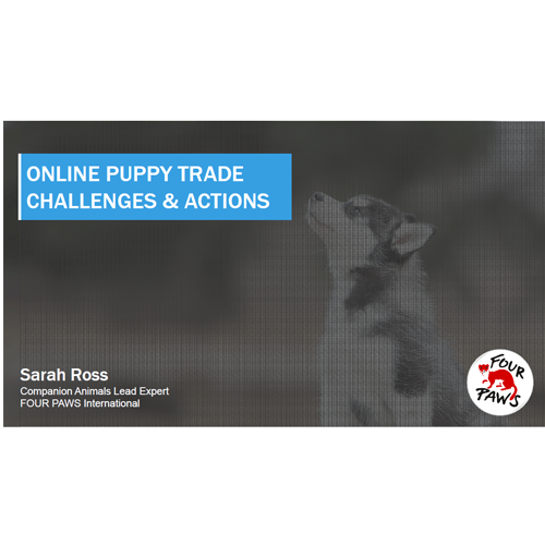 supply-demand-online-puppy-trade.png