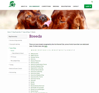 IKC.thumb.png.d72b1c548af9dd83d20167cc3e