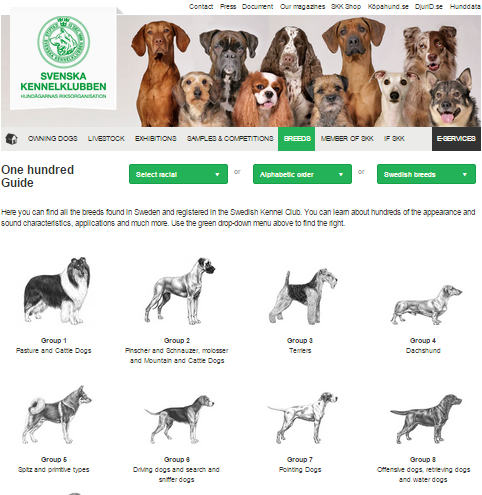 SKK_Breeds.thumb.png.b28578b1498bf26d567