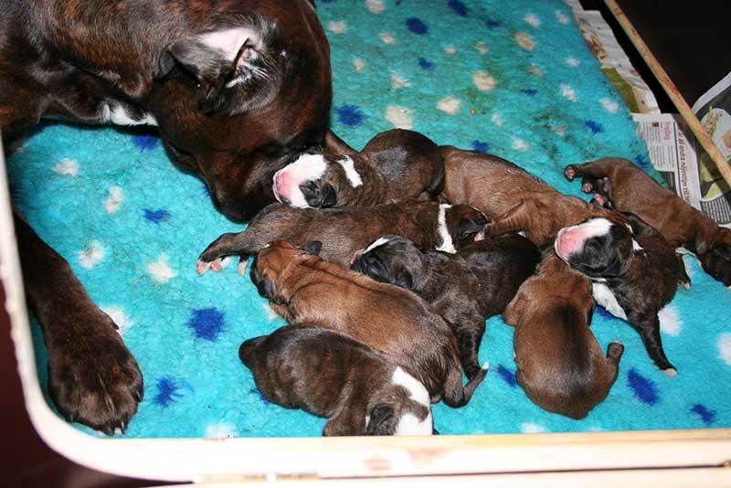 gallery_65_8_56442.thumb.jpg.23ea1d01299