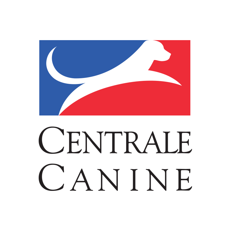 1450553451.1450379670.The_French_Kennel_