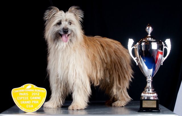 med_gallery_68_16_196282.jpg.67db50a66e5