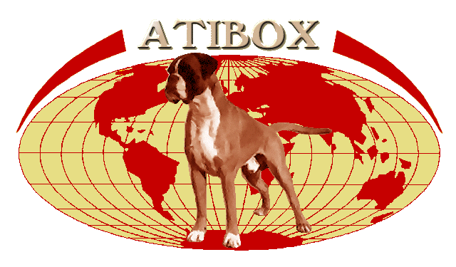 Logo-atibox-base-t.gif