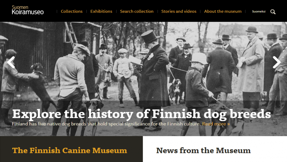 history of Finnish dog breeds.png