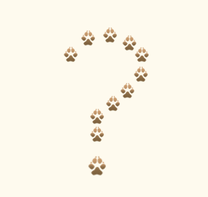 question mark graphic.png