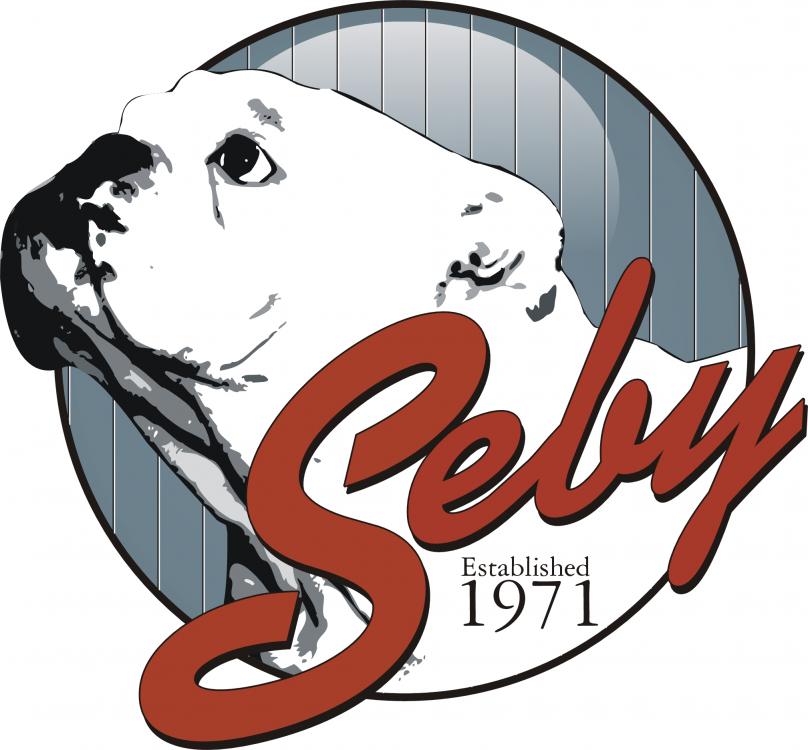 Seby-logo_RGB.jpg
