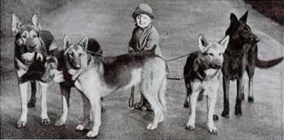 2alsatian1939.jpg