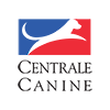 centralecanine100x100transparent.png