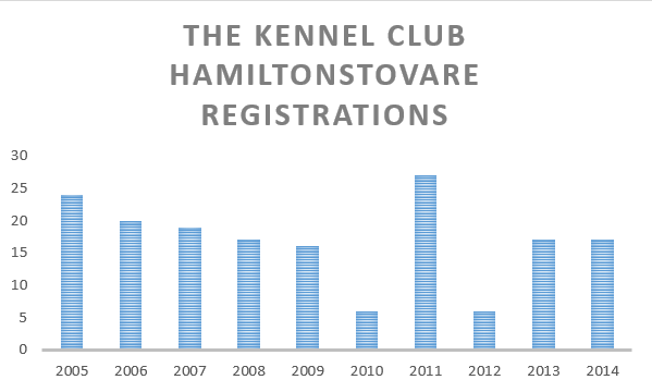 the KennelClub hamiltonhound registrations.png