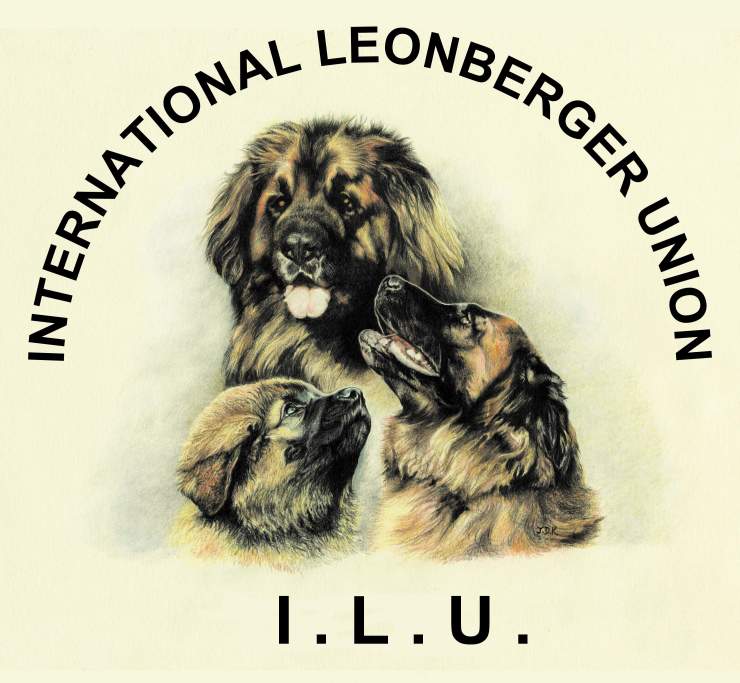 ilulogoweb1.jpg