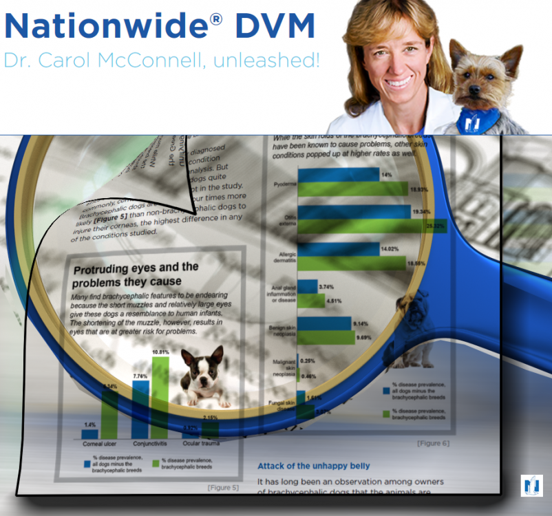 nationwidedvmbrachy.png