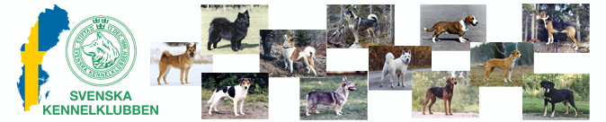 swedishnativebreedscollect.png