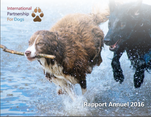 FR AReport cover.png