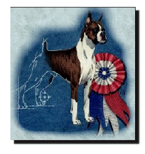 intro-boxer-standard us.gif