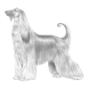 More information about "The Kennel Club 2004 Health Survey: Afghan Hound"