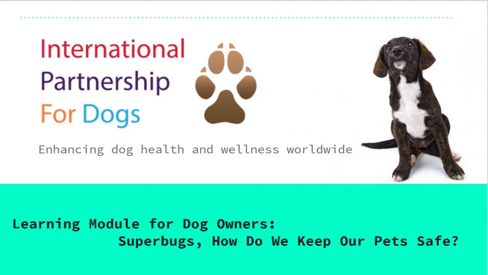 Learning Module for Dog Owners