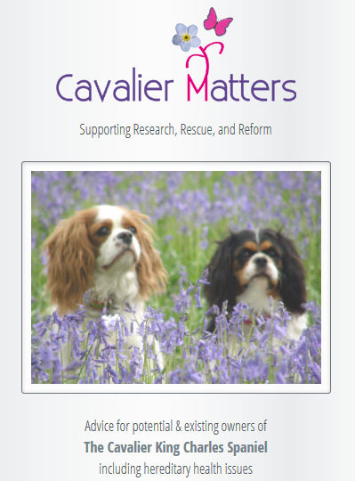 cavalier matters.PNG