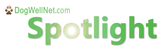spotlight logo-01.png