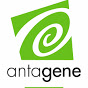antigene.jpg