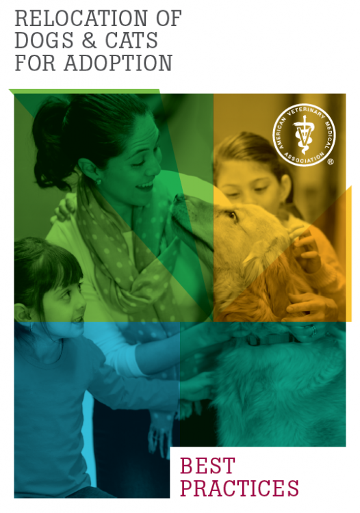 avmatransportadoptionbrochure.thumb.png