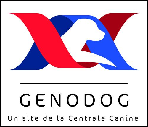 genodog500.JPG