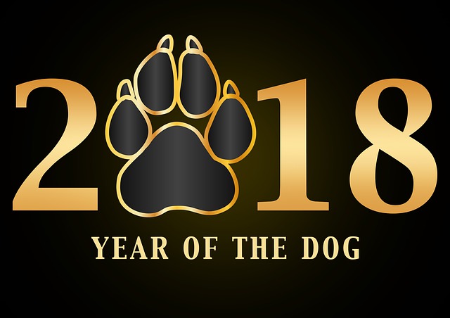 year of the dog.jpg