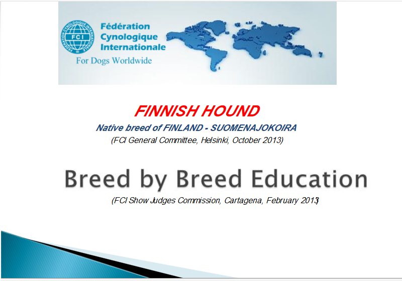 Capturefinnishhoundfci.PNG