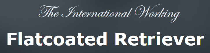 International Working Flatcoated Retriever 