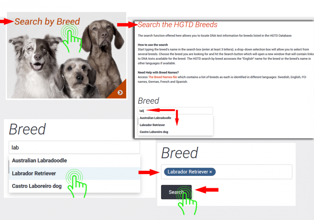 searchbybreed-instruction1web.png