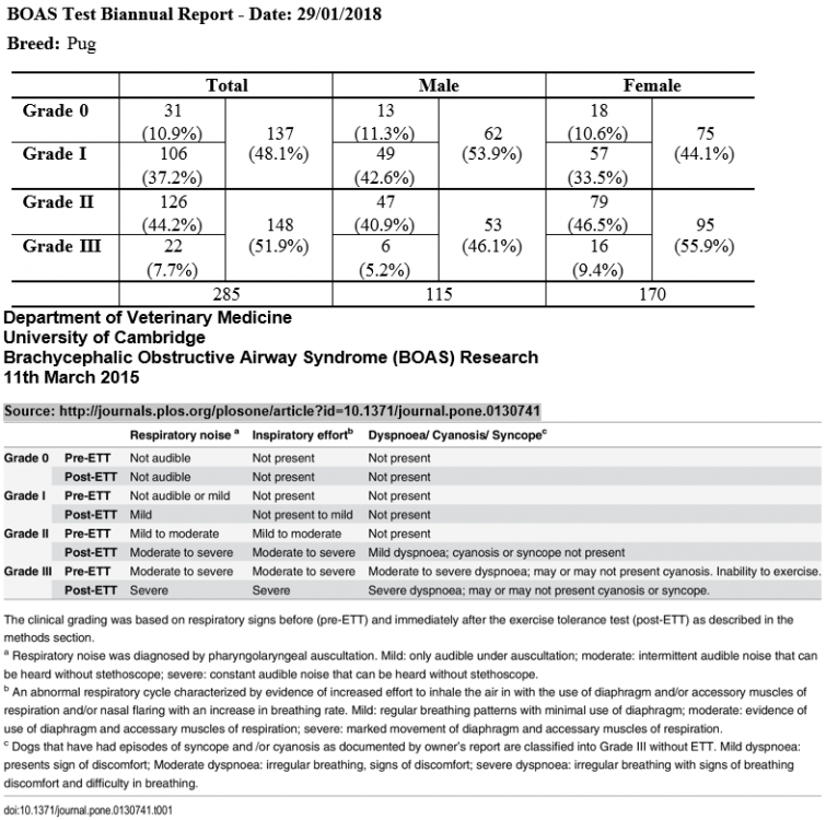 combineboaspug report and grading.png