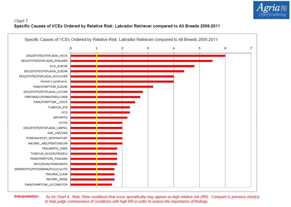 labrador agria 11.png