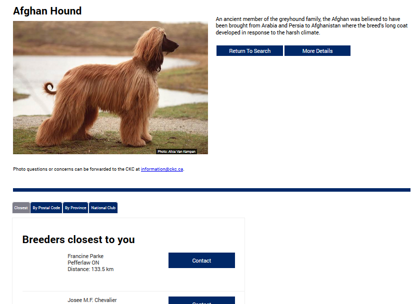 CKC Puppy Search Results.png