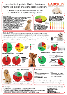 Inherited Ichthyosis in Golden Retriever.png
