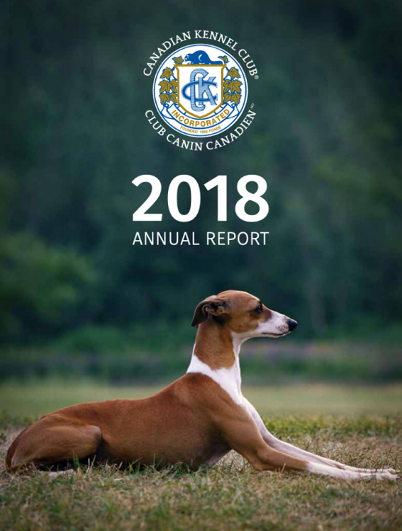 CKC annual report.png