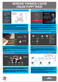 WORKING TOWARDS A SAFER ONLINE PUPPY TRADE.png