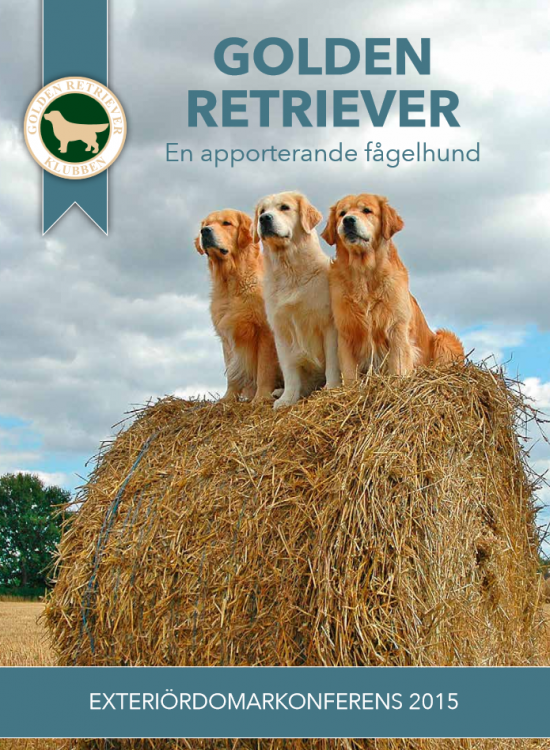 golden retriever exterior - 2015 booklet.png
