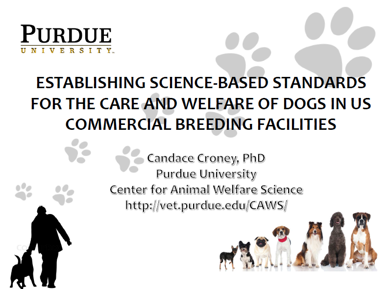 c.croney-4th idhw presentation.PNG