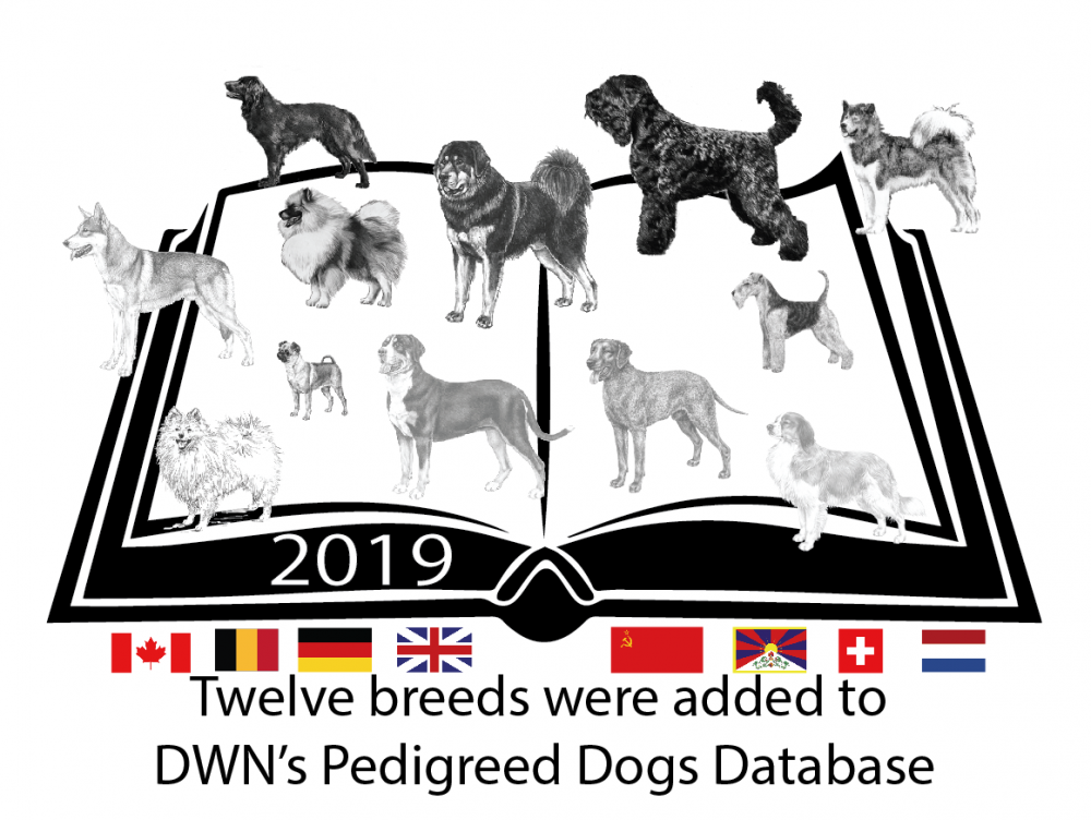 2019dwnbreeds.png