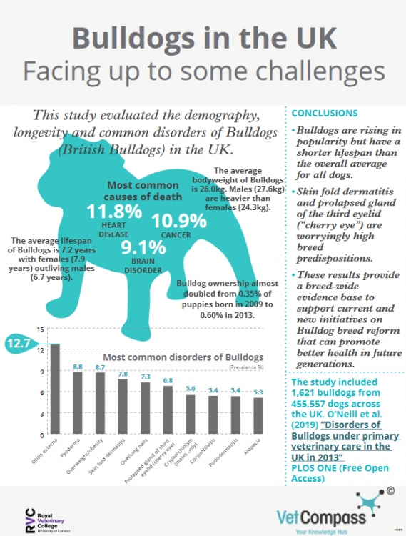 vetcompassbulldog.png