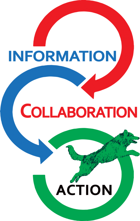 information-collaboration-action-jumping-dog.png