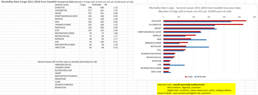 corgi-common condition ABP11-16.png