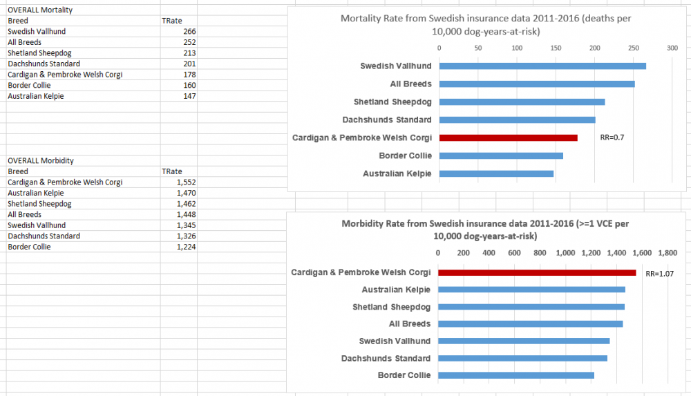 corgi-overall-other breeds.png