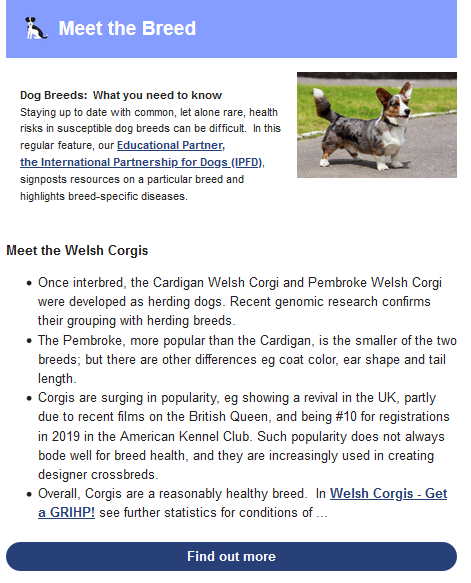 Meet the corgis.png