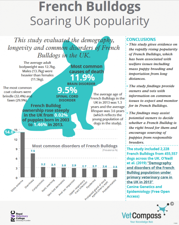 Vet Compass RVC French Bulldog poster