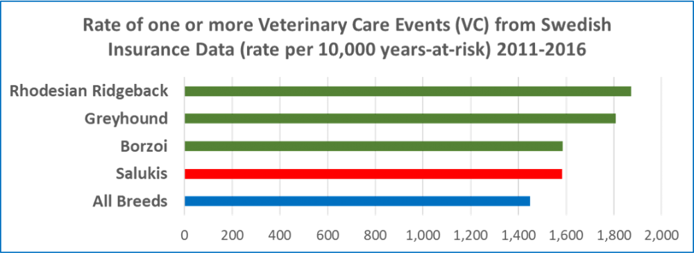 saluki overall agria.png